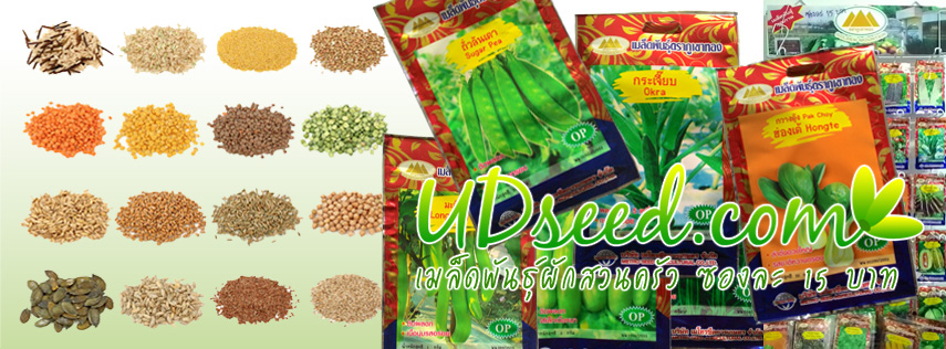 UD Seed เมล็ดพันธุ์ผักซอง ปลีก-ส่ง